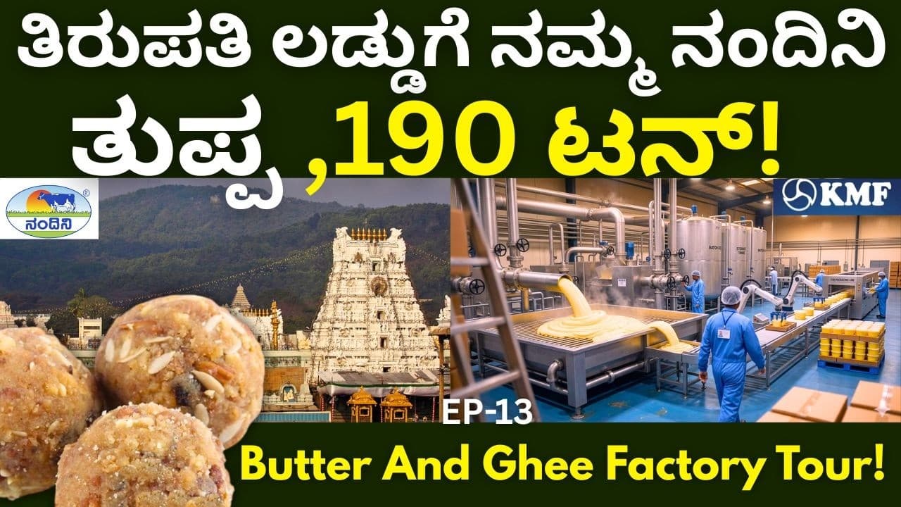 ನಂದಿನಿಯ ಬೆಣ್ಣೆ ಮತ್ತು ತುಪ್ಪದ ಫ್ಯಾಕ್ಟರಿ ನೋಡೋಣ ಬನ್ನಿ.|KMF||Nandini Milk||EP-13