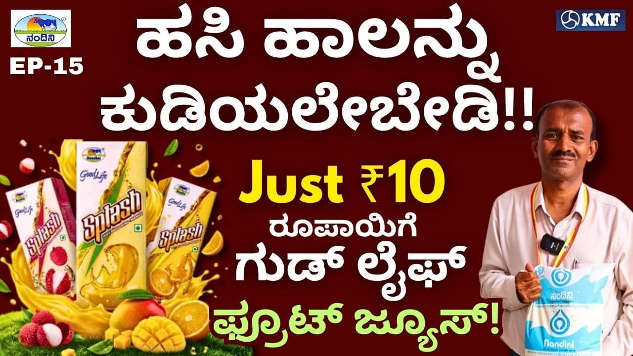 "ಮೋಸರು ಮತ್ತು ಗುಡ್ ಲೈಫ್ ಹಾಲು ತಯಾರಾಗುವ ಮದರ್ ಡೈರಿ!"|KMF||Nandini Milk||EP-15
