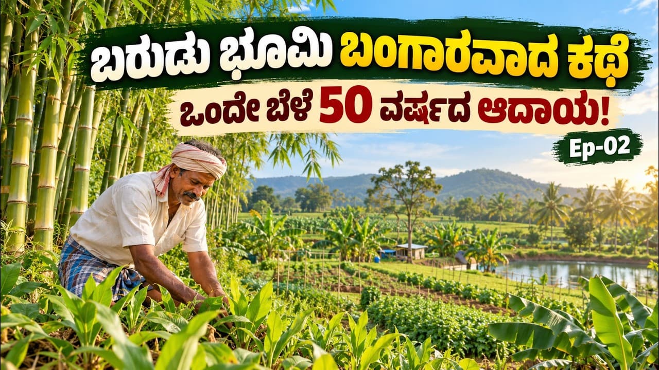 "ಬರುಡು ಭೂಮಿ ಬಂಗಾರವಾದ ಕಥೆ, ಒಂದೇ ಬೆಳೆ 50 ವರ್ಷದ ಆದಾಯ"|EP-02|Bamboo Agricultural|Lakkundi|